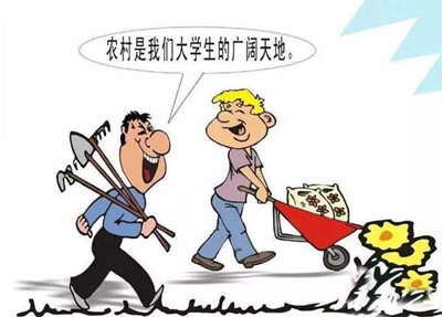 考公、考研難度高，應(yīng)屆生你還有4種選擇